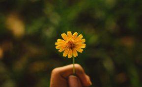 Dalykai, dėl kurių niekada neturėtumėte atsiprašinėti