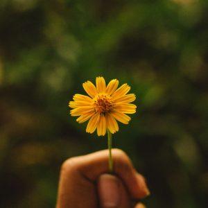 Dalykai, dėl kurių niekada neturėtumėte atsiprašinėti