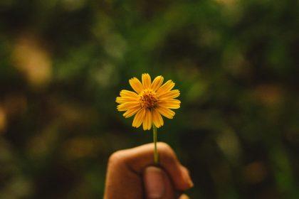 Dalykai, dėl kurių niekada neturėtumėte atsiprašinėti