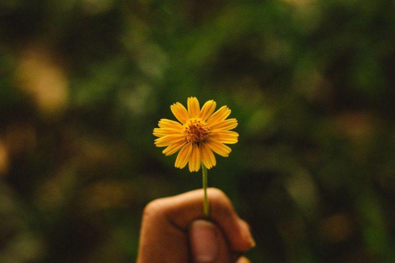 Dalykai, dėl kurių niekada neturėtumėte atsiprašinėti
