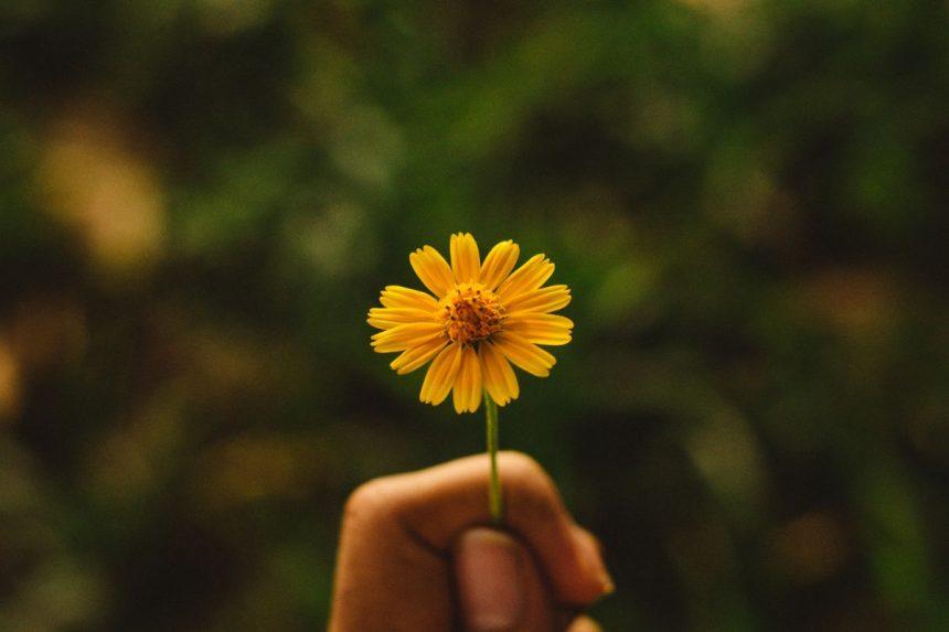 Dalykai, dėl kurių niekada neturėtumėte atsiprašinėti