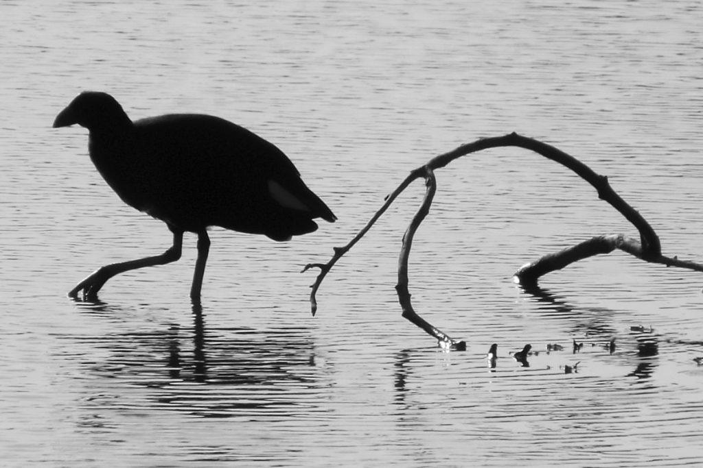 Sutapimai: ar gyvenime einate savo keliu