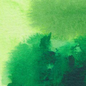 Sužinokite, kaip pritraukti pinigus naudojant žalią spalvą