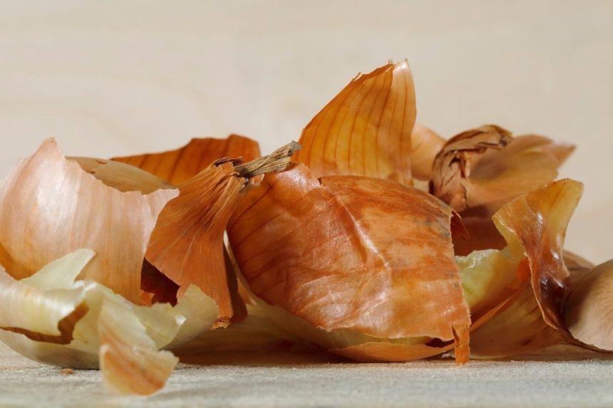 Svogūnų lukštai: nauda sveikatai ir kaip juos tinkamai naudoti