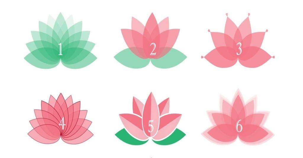 Testas: išsirinkite lotosą ir gaukite patarimą, kurio jums labiausiai reikia. Kokį lotosą pasirinksite?