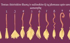 Testas: išsirinkite šluotą ir sužinokite kokia ragana esate