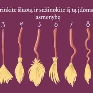 Testas: išsirinkite šluotą ir sužinokite kokia ragana esate