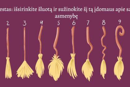 Testas: išsirinkite šluotą ir sužinokite kokia ragana esate