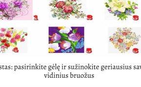 Testas: pasirinkite gėlę ir sužinokite geriausius savo vidinius bruožus
