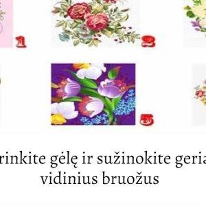 Testas: pasirinkite gėlę ir sužinokite geriausius savo vidinius bruožus