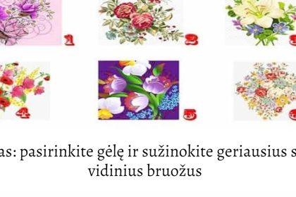 Testas: pasirinkite gėlę ir sužinokite geriausius savo vidinius bruožus