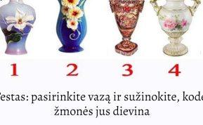 Testas: pasirinkite vazą ir sužinokite, kodėl žmonės jus dievina