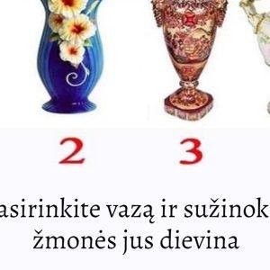 Testas: pasirinkite vazą ir sužinokite, kodėl žmonės jus dievina