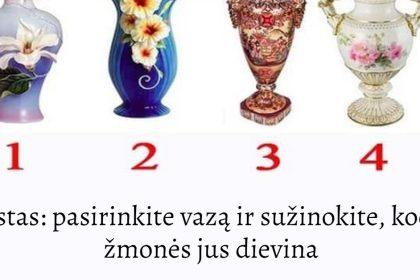 Testas: pasirinkite vazą ir sužinokite, kodėl žmonės jus dievina