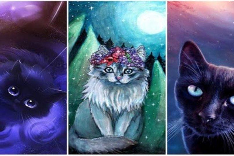 Testas: pasirinkta katė atskleis, koks esate žmogus