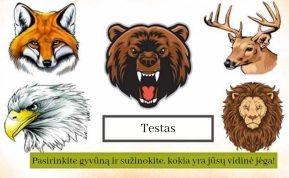 Testas: sužinokite, kokia yra jūsų vidinė jėga!