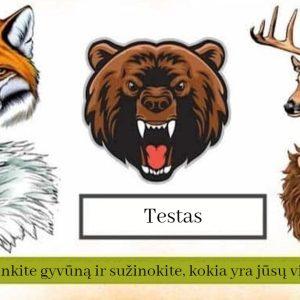 Testas: sužinokite, kokia yra jūsų vidinė jėga!