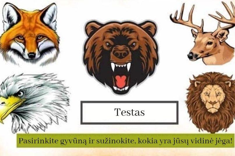 Testas: sužinokite, kokia yra jūsų vidinė jėga!