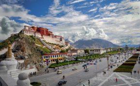 Tibeto genas: paslaptis, leidžianti išgyventi kalnuose