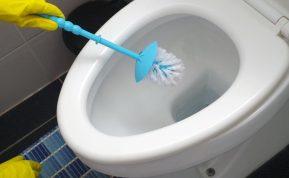 Užpilkite tai ant tualeto šepečio. Nešvarumai nutekės ir šepetys vėl bus kaip naujasUžpilkite tai ant tualeto šepečio. Nešvarumai nutekės ir šepetys vėl bus kaip naujas