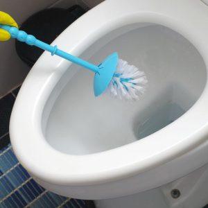 Užpilkite tai ant tualeto šepečio. Nešvarumai nutekės ir šepetys vėl bus kaip naujasUžpilkite tai ant tualeto šepečio. Nešvarumai nutekės ir šepetys vėl bus kaip naujas