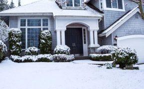 Žolės priežiūra prieš žiemą: ką svarbu žinoti, kad veja išliktų sveika