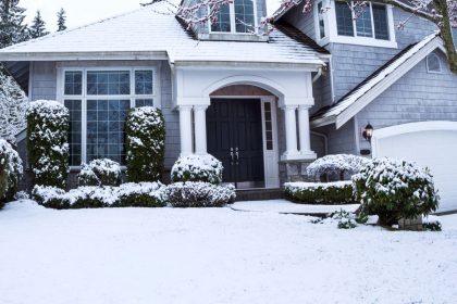 Žolės priežiūra prieš žiemą: ką svarbu žinoti, kad veja išliktų sveika