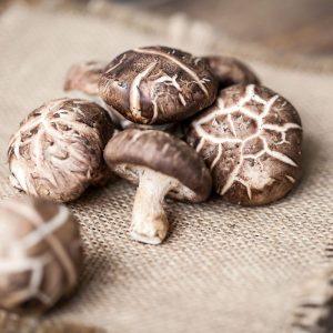 Shiitake grybai: Japonijoje juos vertina šimtmečius, o padeda nuo dažniausios lietuvių ligos