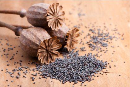 Aguonų nauda sveikatai: kalcio šaltinis, 10 kartų pranokstantis pieną