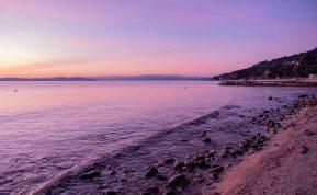 Violetinis paplūdimys Baltijos jūroje: reiškinys, kuris atrodo kaip iš kitos planetos