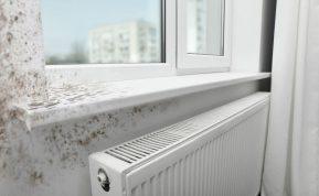 Buto vėdinimas žiemą: populiari klaida, dėl kurios atsiranda pelėsis