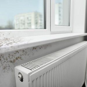 Buto vėdinimas žiemą: populiari klaida, dėl kurios atsiranda pelėsis