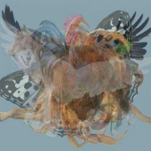 Pirmasis gyvūnas, kurį pamatėte, atskleidžia stulbinančias tiesas apie jūsų asmenybę