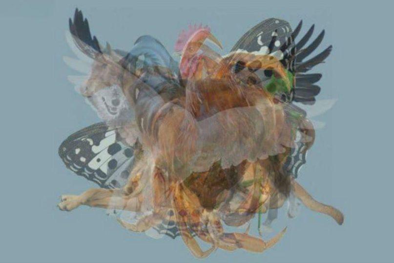 Pirmasis gyvūnas, kurį pamatėte, atskleidžia stulbinančias tiesas apie jūsų asmenybę