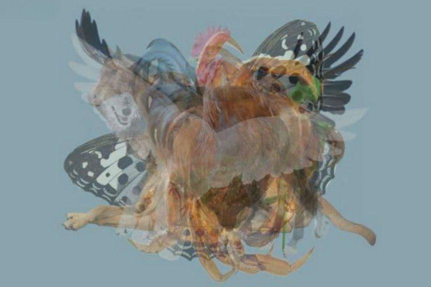 Pirmasis gyvūnas, kurį pamatėte, atskleidžia stulbinančias tiesas apie jūsų asmenybę