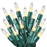 Skaidrios lemputės su žaliu laidu