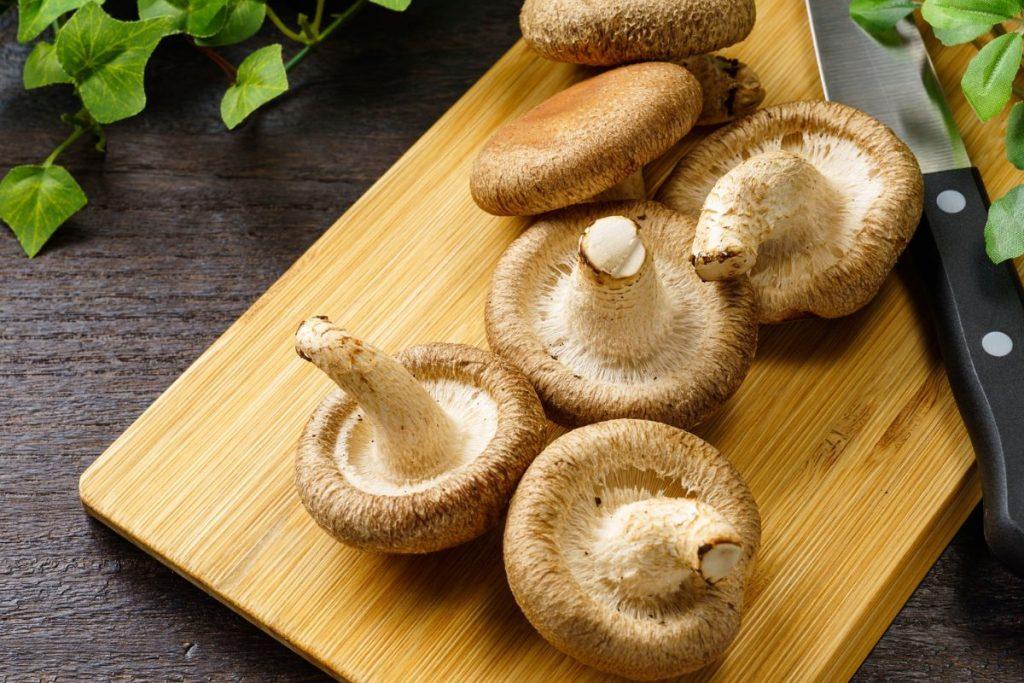 Shiitake grybai: Japonijoje juos vertina šimtmečius, o padeda nuo dažniausios lietuvių ligos. Stebuklingas ingredientas, kurio pavydi farmacijos pramonė