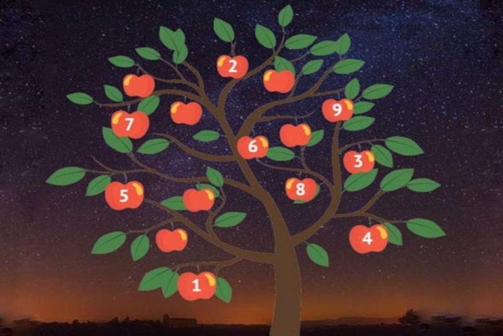 Obuolių testas: pasirinkite vieną ir sužinokite, kada išsipildys jūsų noras – Kai norite žinoti, kas laukia, bet nežinote, kur ieškoti atsakymų