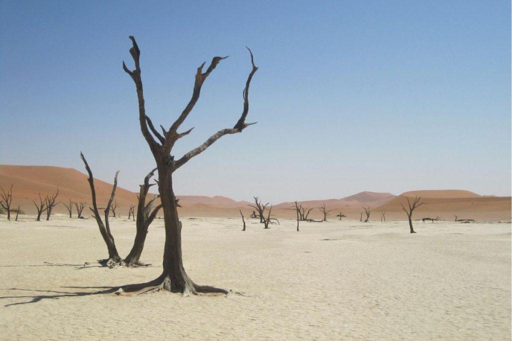 Negyvosios jūros rankraščiai: po 70 metų pagaliau iššifruotas paslaptingas kodas. Kumrano paslaptis: kas yra Cryptic B