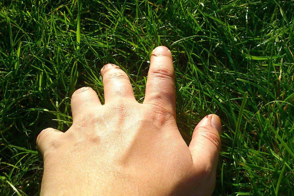 „Palieski žolę": interneto pajuoka, kuri pasirodė esanti mokslinė tiesa – Shinrin-yoku: kai „žolės lietimas" tampa oficialia terapija