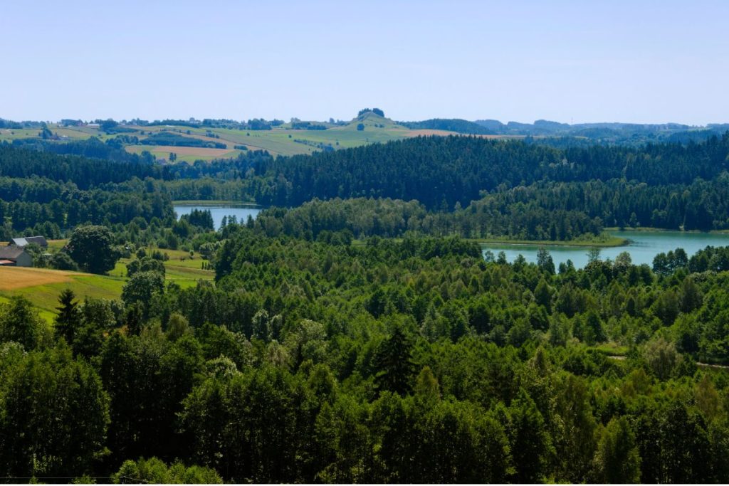 Suvalkų koridoriaus gynyba: Lenkija siunčia aiškią žinutę Lietuvai – Lenkija ir Lietuva: artimiausi sąjungininkai