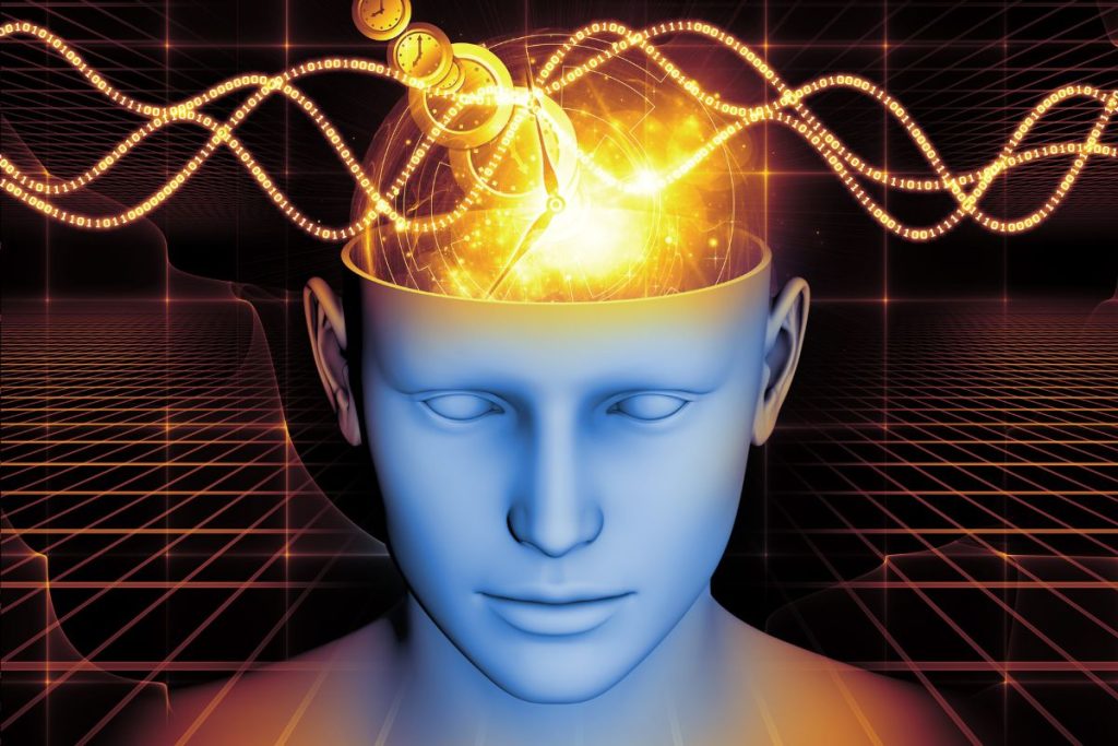 Pirmasis gyvūnas, kurį pamatėte, atskleidžia stulbinančias tiesas apie jūsų asmenybę – Kaip pasąmonė pasirenka tai, ką matome