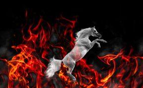 2026 metų raudonojo ugninio arklio horoskopas: kaip išnaudoti energiją ir atverti naujas galimybes