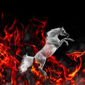 2026 metų raudonojo ugninio arklio horoskopas: kaip išnaudoti energiją ir atverti naujas galimybes