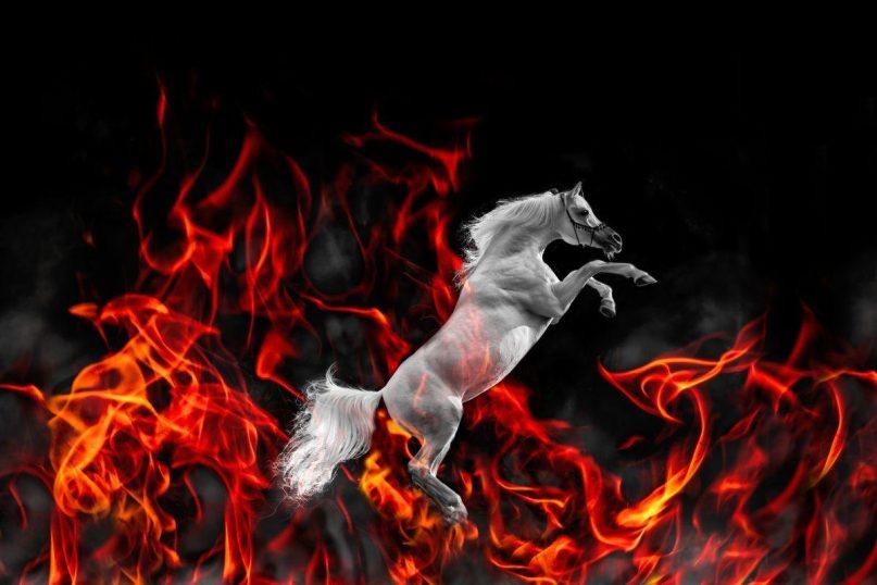 2026 metų raudonojo ugninio arklio horoskopas: kaip išnaudoti energiją ir atverti naujas galimybes