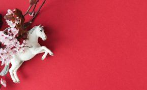 2026 – Ugninio Arklio metai: kinų horoskopas visiems ženklams.