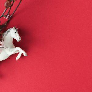 2026 – Ugninio Arklio metai: kinų horoskopas visiems ženklams.