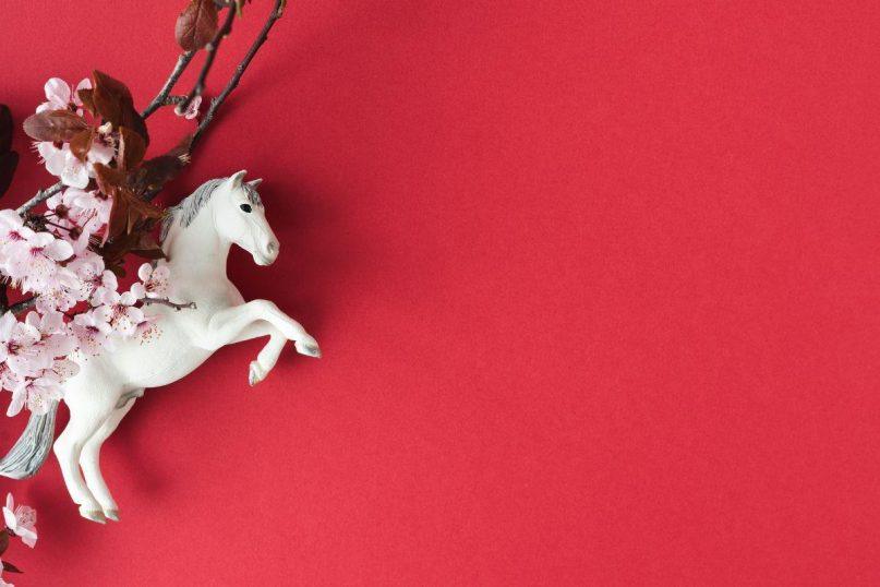 2026 – Ugninio Arklio metai: kinų horoskopas visiems ženklams.