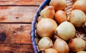 22 būdai, kaip galite panaudoti svogūnus sveikatai ir grožiui