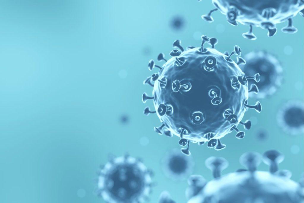 COVID-19 koronaviruso 3D iliustracija